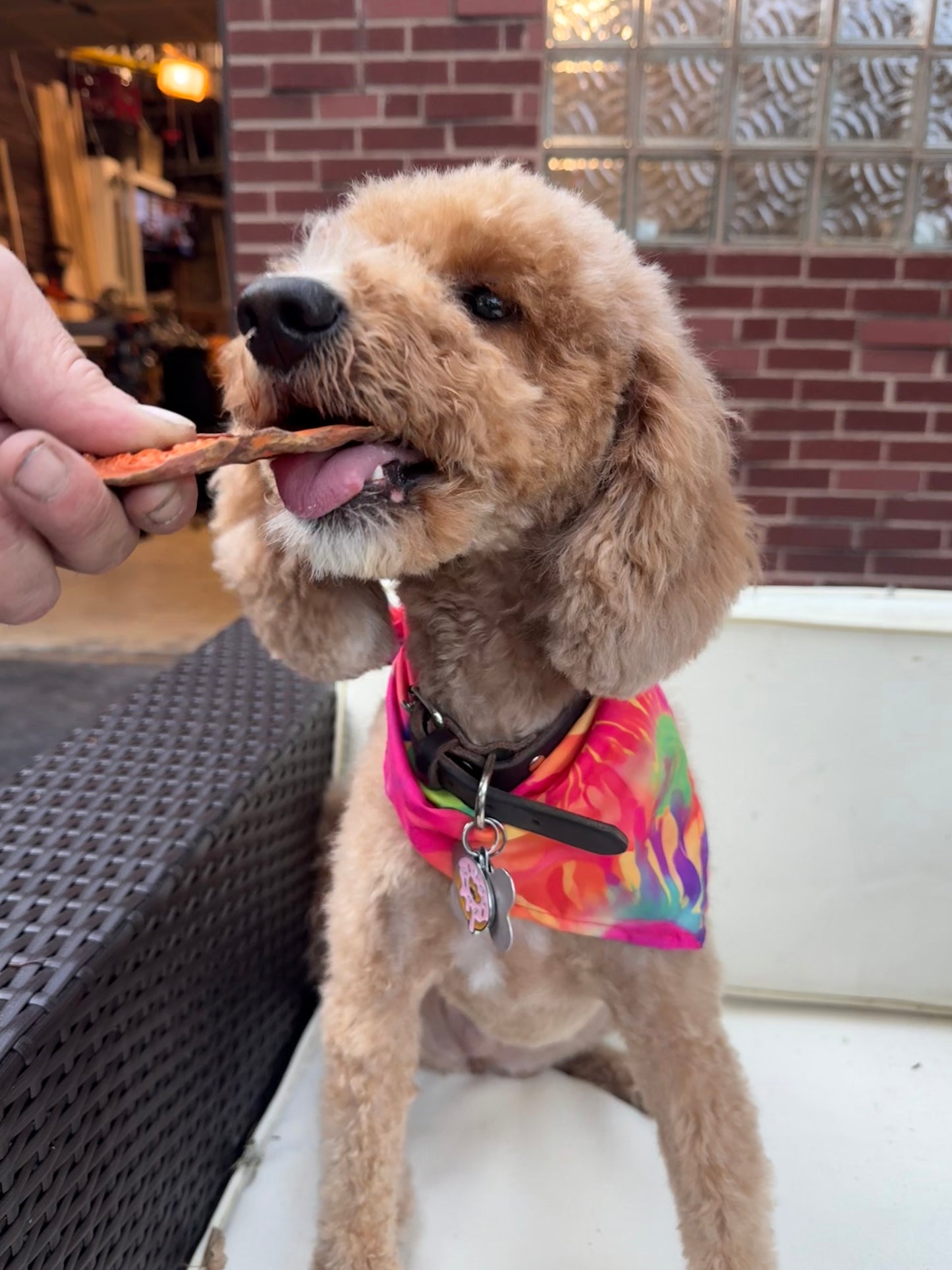 Ellabby Sweet Potato Chews 16 oz - 100% All Natural